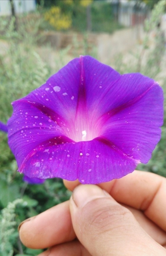 何永旗|《假大空》/何永旗