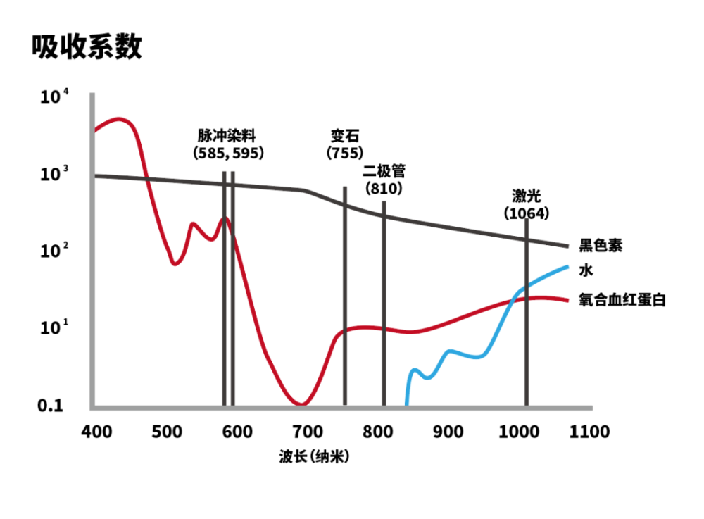 一束光照到皮肤组织中后,主要是被黑色素,血红蛋白和水这三种物质吸收
