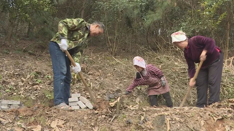 的方式参与黔东南重普阳生态农业发展有限公司发展生态土鸡养殖产业