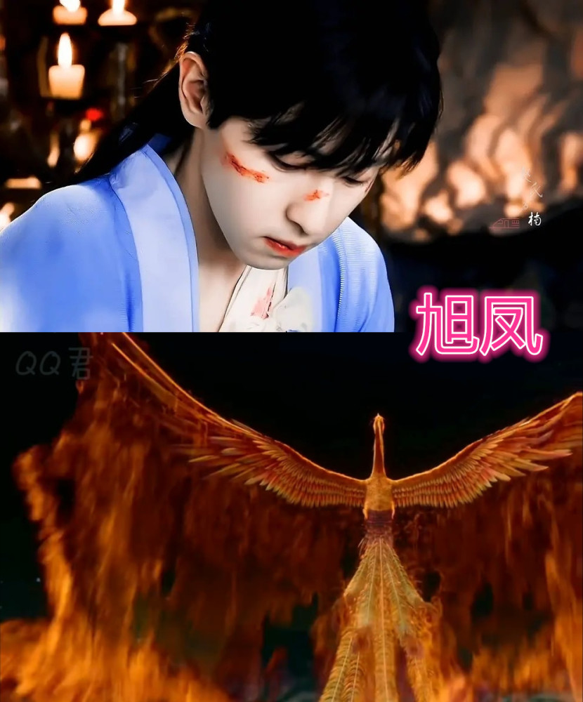 锦觅的真身干净,旭凤的真身炽烈,看到月下仙人真身:想rua