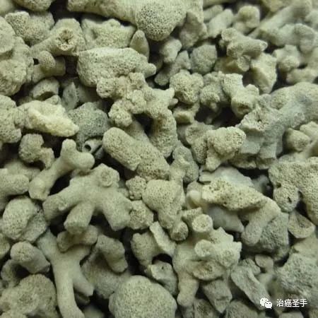 海浮石的药效与作用