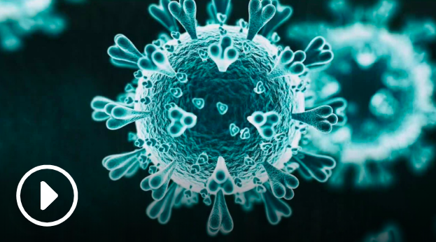 冠状病毒covid19究竟如何攻击人体