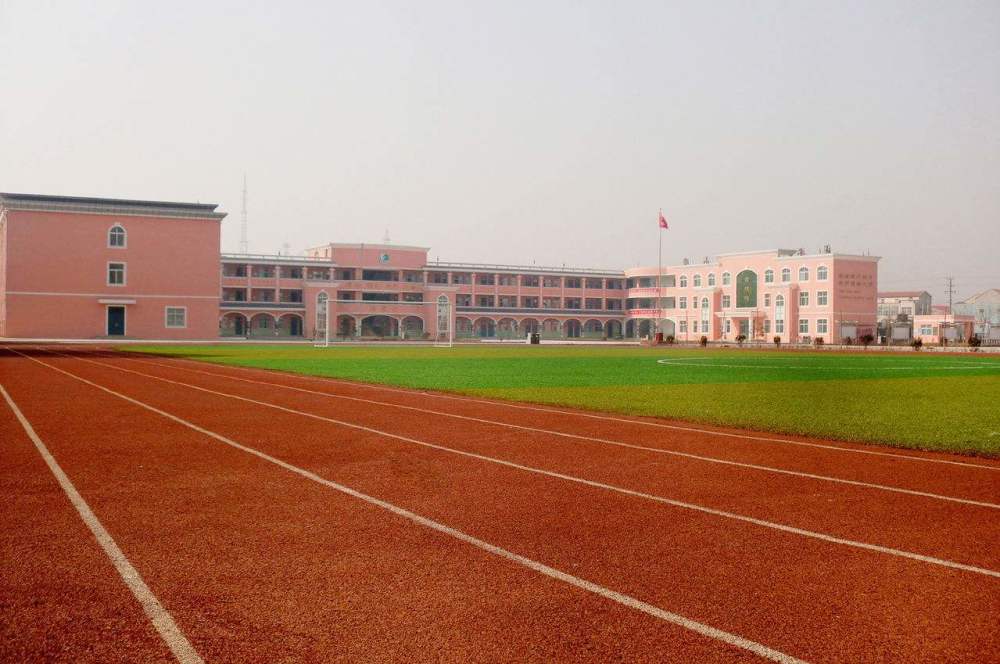 各城市小学生数量排行_中国小学生总数前15的城市排名!重庆第1,南阳竟然第2,深圳第5