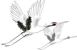 西安美术学院|致导师：没有您掺和的毕业创作