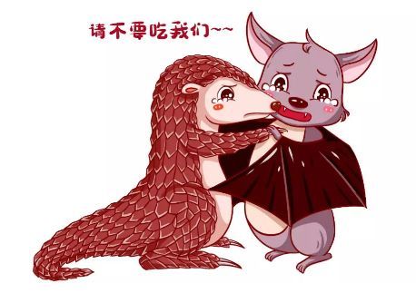 【倡议】拒食"野味",健康过年!