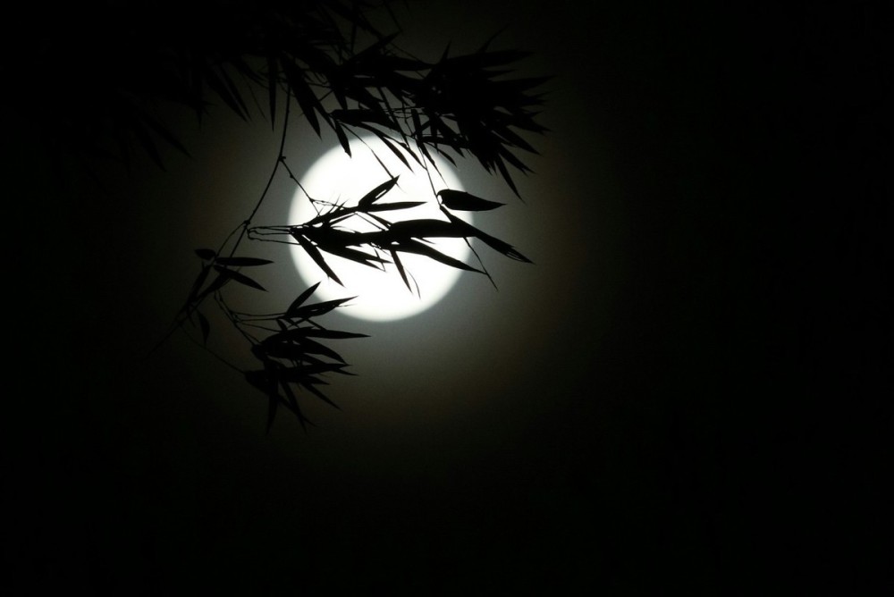 身边没有亲友陪伴而感到孤独