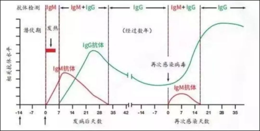 复阳|多地新冠康复患者出院数月后复阳，你需要知道这 4 个问题