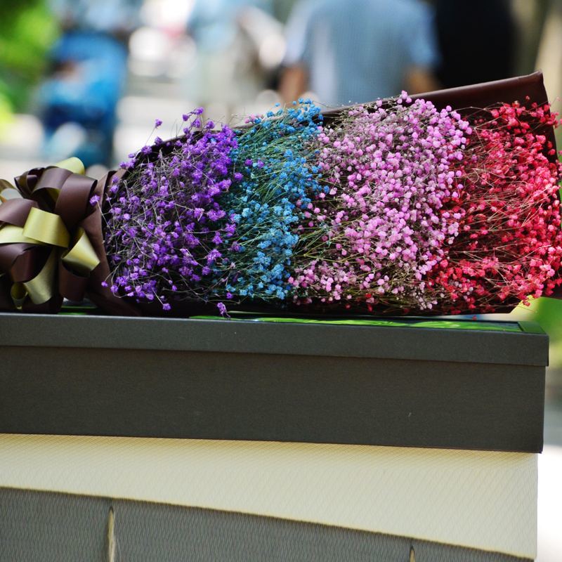 心理学:这4束满天星,你最喜欢哪一束?测你最近运气,很准哦