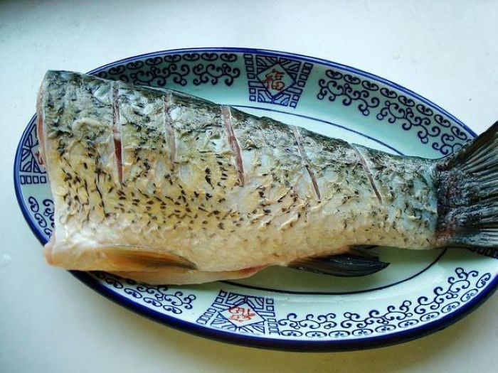 除了鲅鱼包饺子之外 还有哪些鱼可以做饺子馅 腾讯新闻