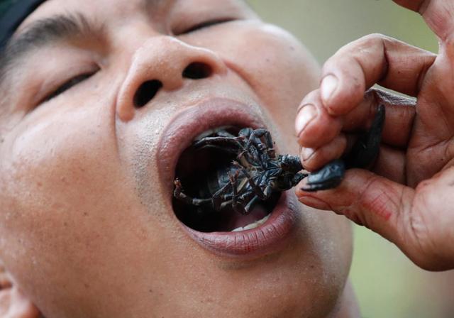 喝眼镜蛇血,吃蝎子蜘蛛,美国海军陆战队大兵展示狼性训练成果|美军