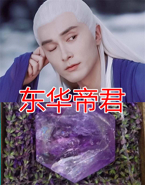 白凤九的真身,夜华的真身,东华帝君的真身,看到白滚滚真身:承包一年