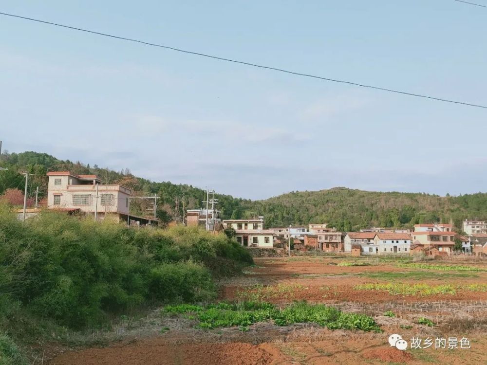 家乡的味道·最深的乡愁之上蓝田村