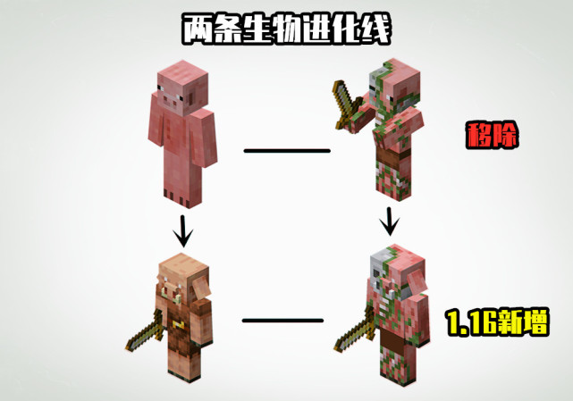 我的世界：1.16为何移除僵尸猪人？这背后有个未公布的更新计划！_腾讯新闻