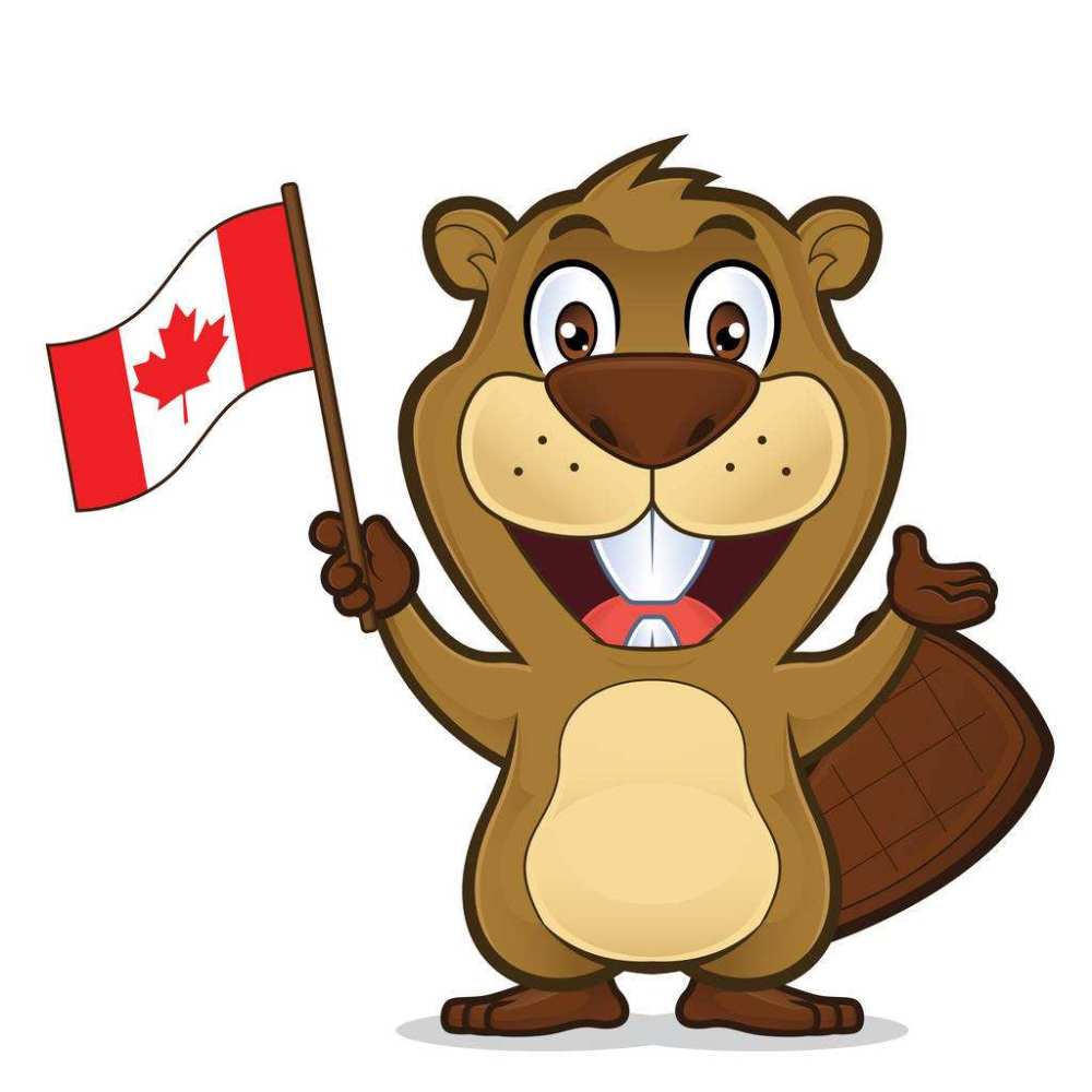 加拿大代表动物图片