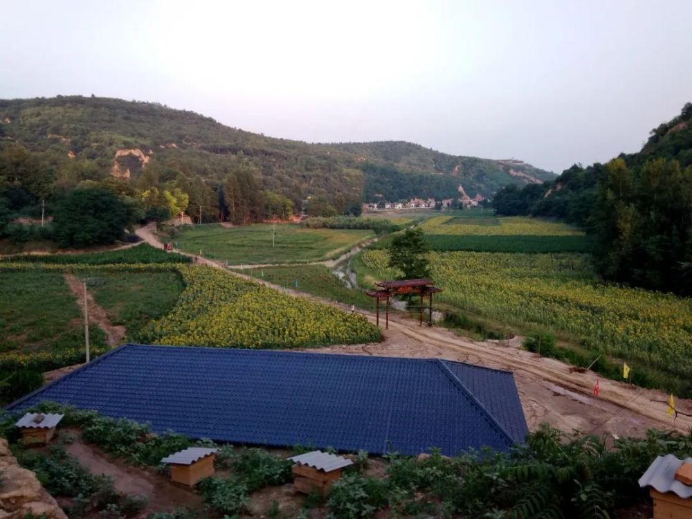 近日,黄陵县8个乡村获得"国家森林乡村"称号,有你村吗?