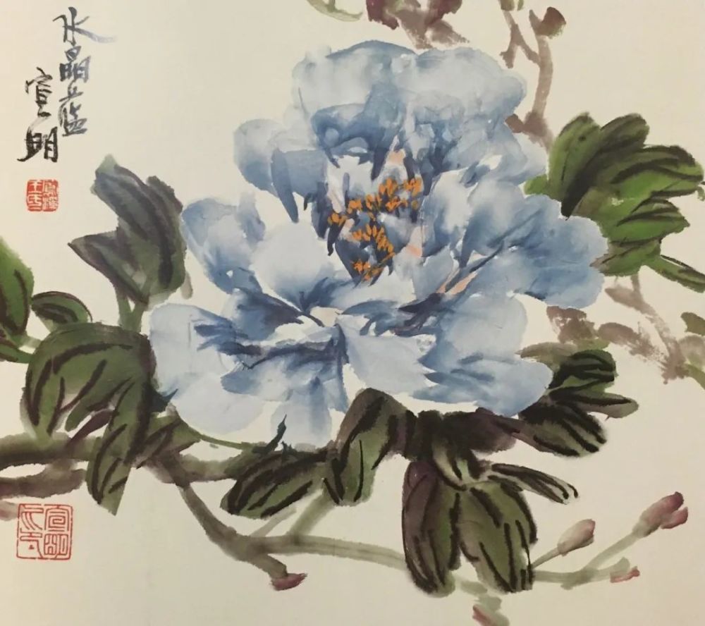 王宣明牡丹画"牡丹丛"中一长者雨  辰牡丹,百花丛中最鲜艳,众香国里最