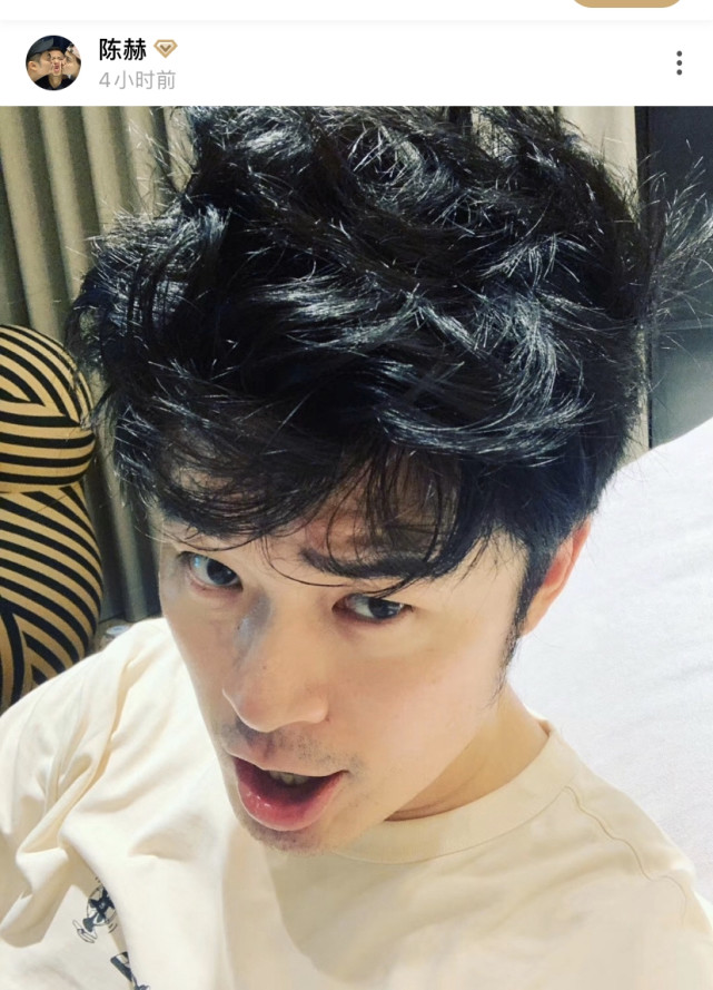 陈赫自拍被头发抢镜发量惊人让人羡慕网友熬夜还这发量慕了