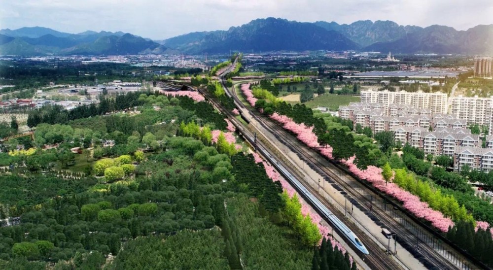 又一趟"开往春天的列车"驶来,本端带您提前赏沿途美景_腾讯新闻