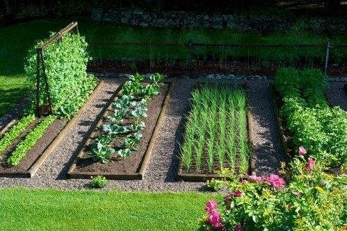 15个院子里的菜园,吃着自己种下的菜,收获满满的幸福!