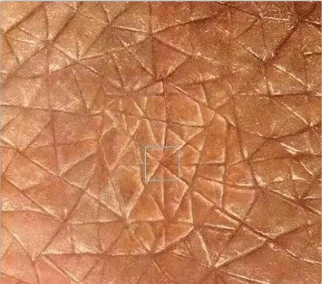 人类的皮肤放大几千万倍会是什么样的画面答案超乎你想象