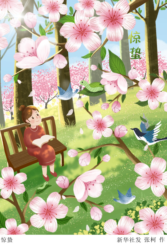 图表插画二十四节气惊蛰惊蛰