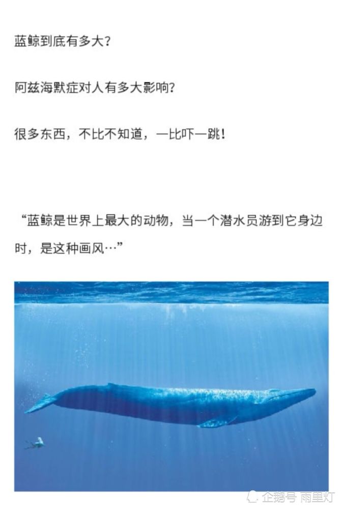 一波有意思的对比图,原来蓝鲸有这么大,原来海星还能四个角_腾讯新闻