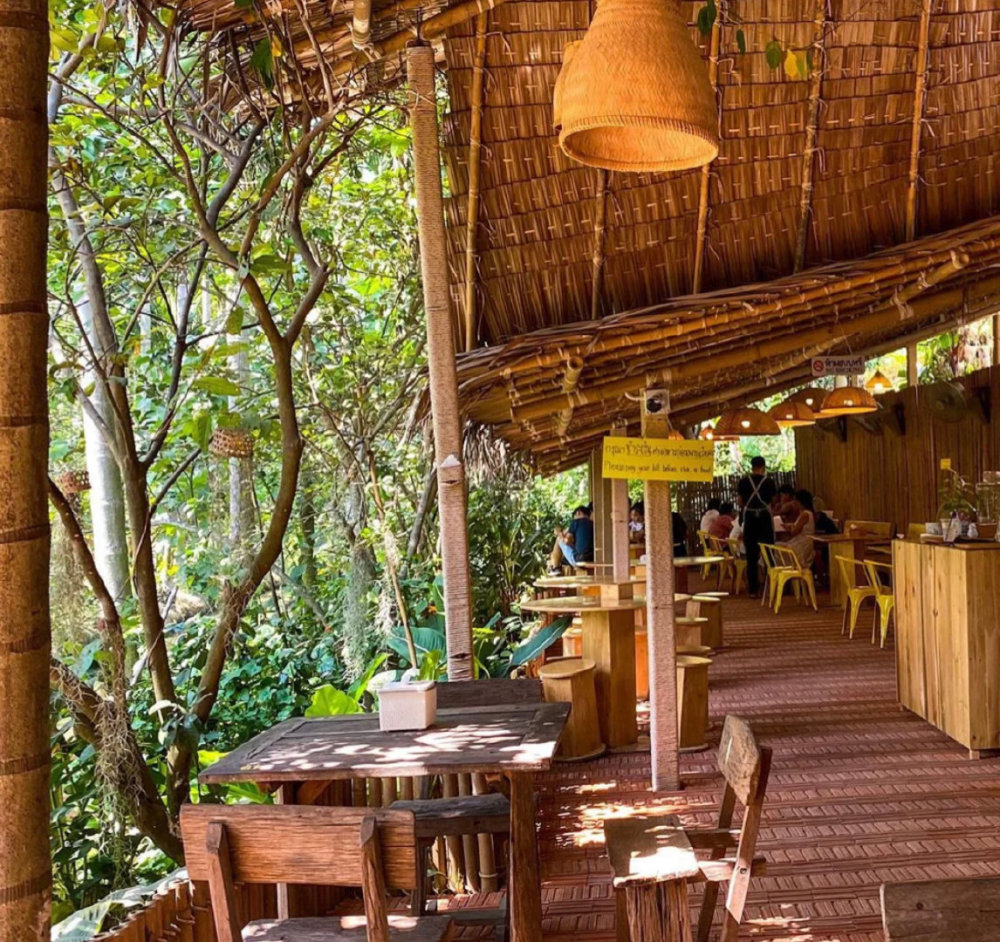 开在丛林里的咖啡厅,一边划船一边喝下午茶,可以盲选的菜单!