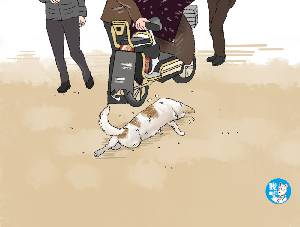 男子看见一只流浪狗瘸着腿,正想上前帮助,却被路人拉着不让去