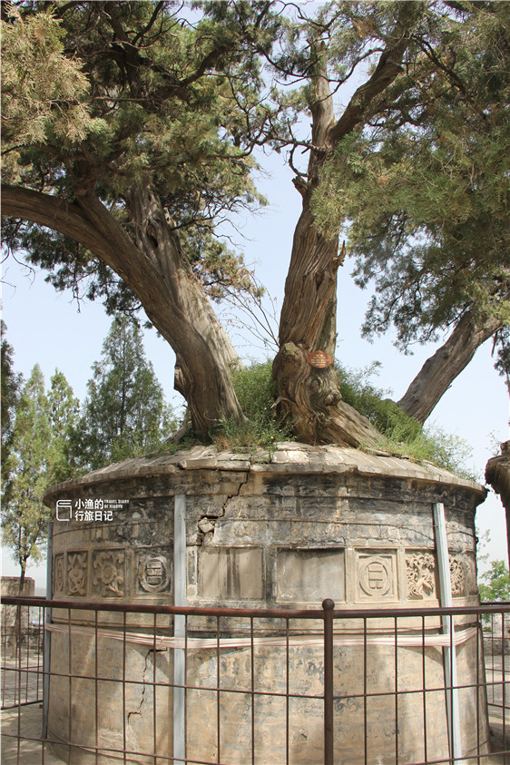 司马迁祠墓坐落于一座天然形成的高岗之上,古建筑群沿着山脊蜿蜒前行