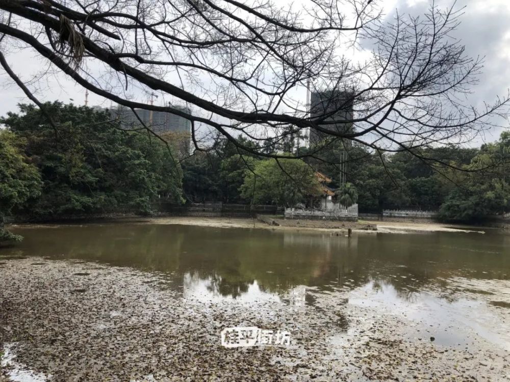 桂平80後90後,你對中山公園的記憶是