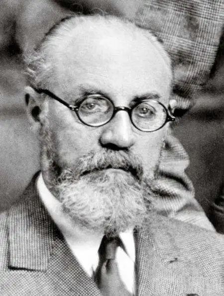 野兽派创始人亨利马蒂斯