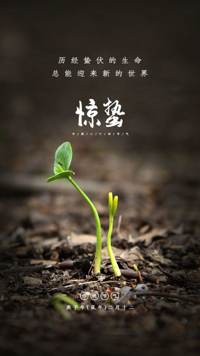 历经蛰伏的生命总能迎来新的世界