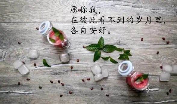 勵志正能量句子:隨遇而安,懂得放下,生命才會更加完美