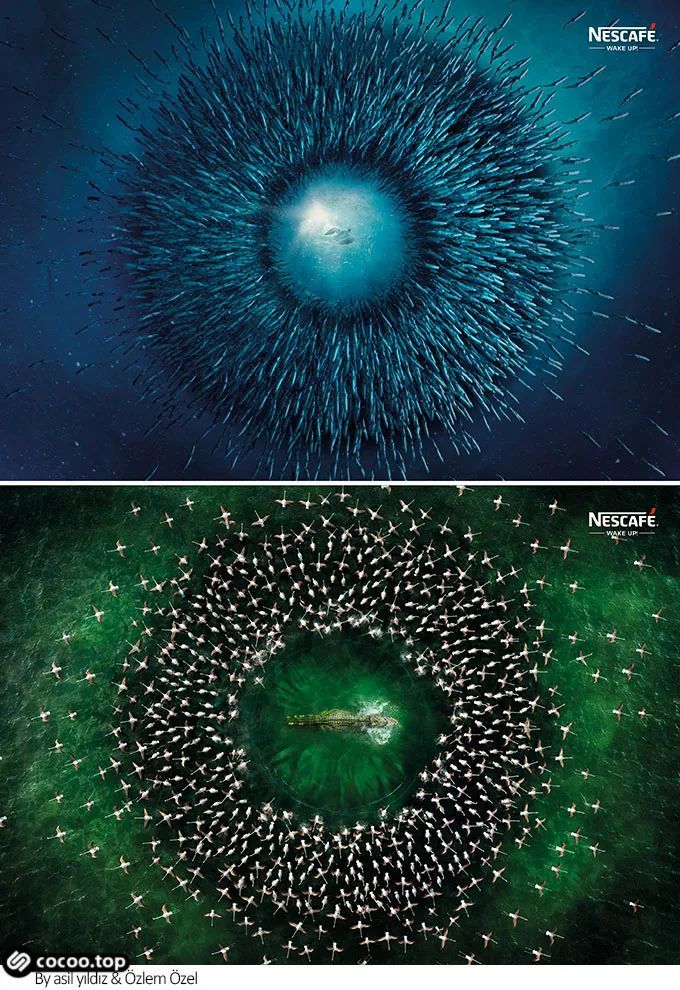 设计构图也需要节奏感韵律之美