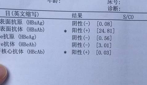 新型冠状病毒检测报告图片