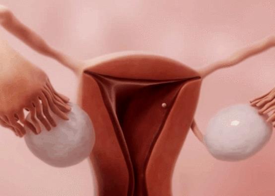 卵子排出的"一刹那",女生多半有这"3感觉","傻丫头"别忽视