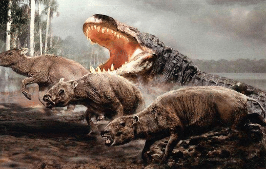 恐龙灭绝之后,曾经称霸过地球的三种史前巨兽,其中一种曾是人类的