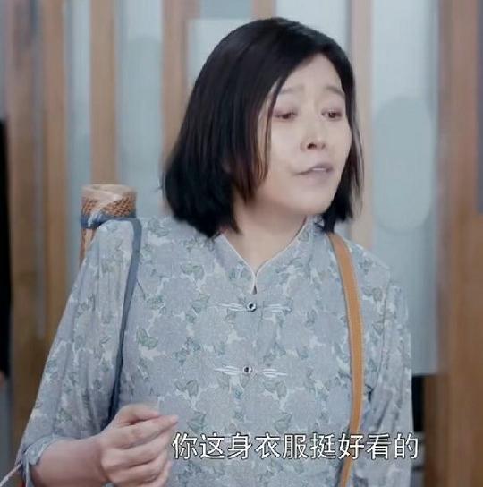 房似锦妈妈成恶妈巅峰丁嘉丽本色出演和女儿15年只见两面