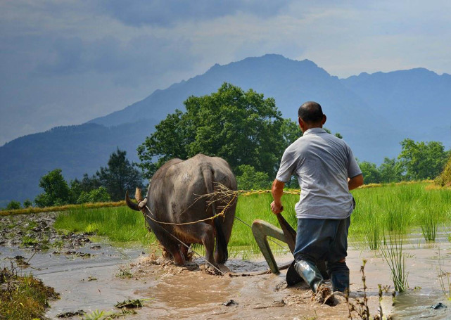 永远不要歧视农民一位父亲写给女儿的信