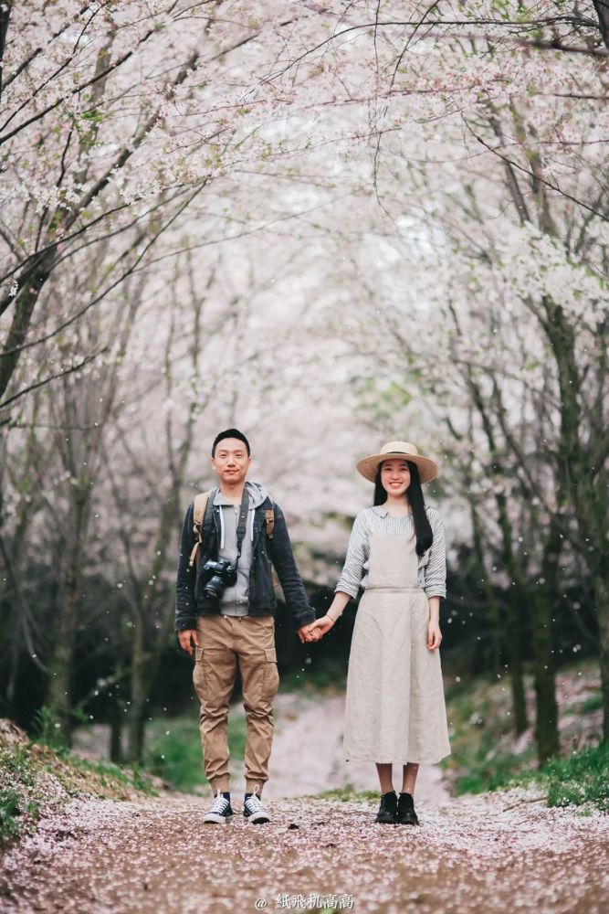 贵州平坝樱花之旅