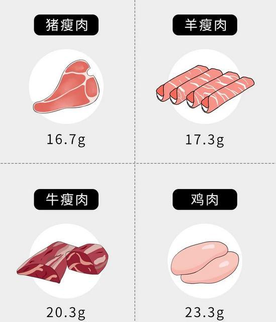 每100g常见肉类蛋白质含量