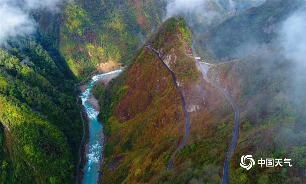 雲南貢山花海漫漫五彩斑斕讓人沉醉