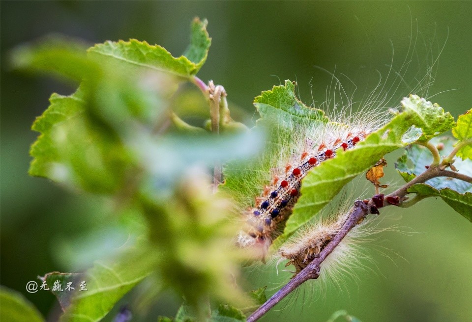 惊蛰到 疫情消 春风入户人间美好 腾讯新闻
