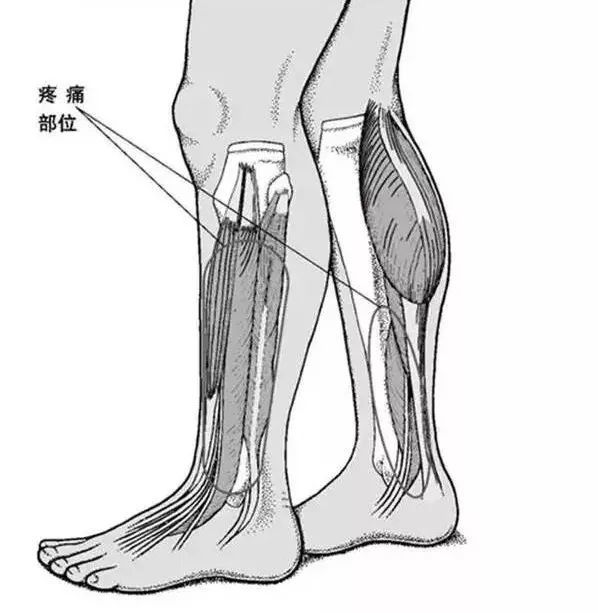 一般发生在膝盖,脚踝关节,膝关节处,5-10岁正长个儿的孩子比较常见.