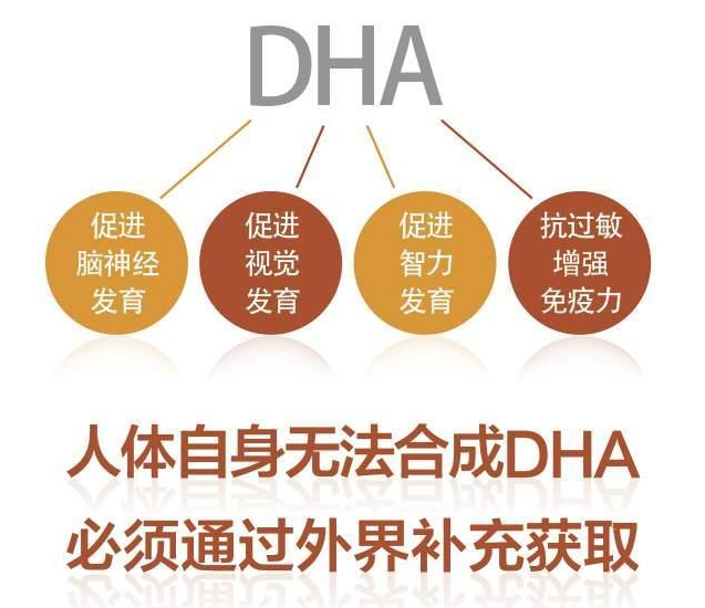 想要宝宝聪明,孕期最好在这个关键期补充dha,宝宝大脑发育更好