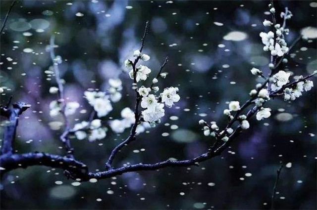 后主李煜词读别来春半砌下落梅如雪乱