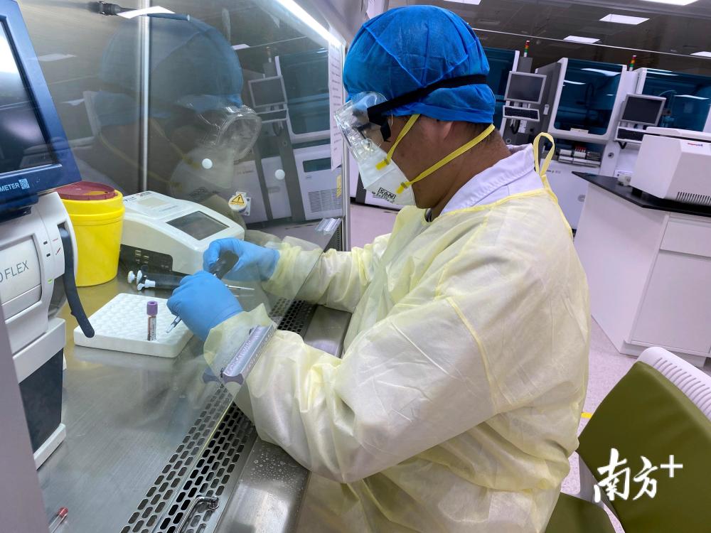 南医大深圳医院证实血清学检测在新冠肺炎诊断中的临床应用价值