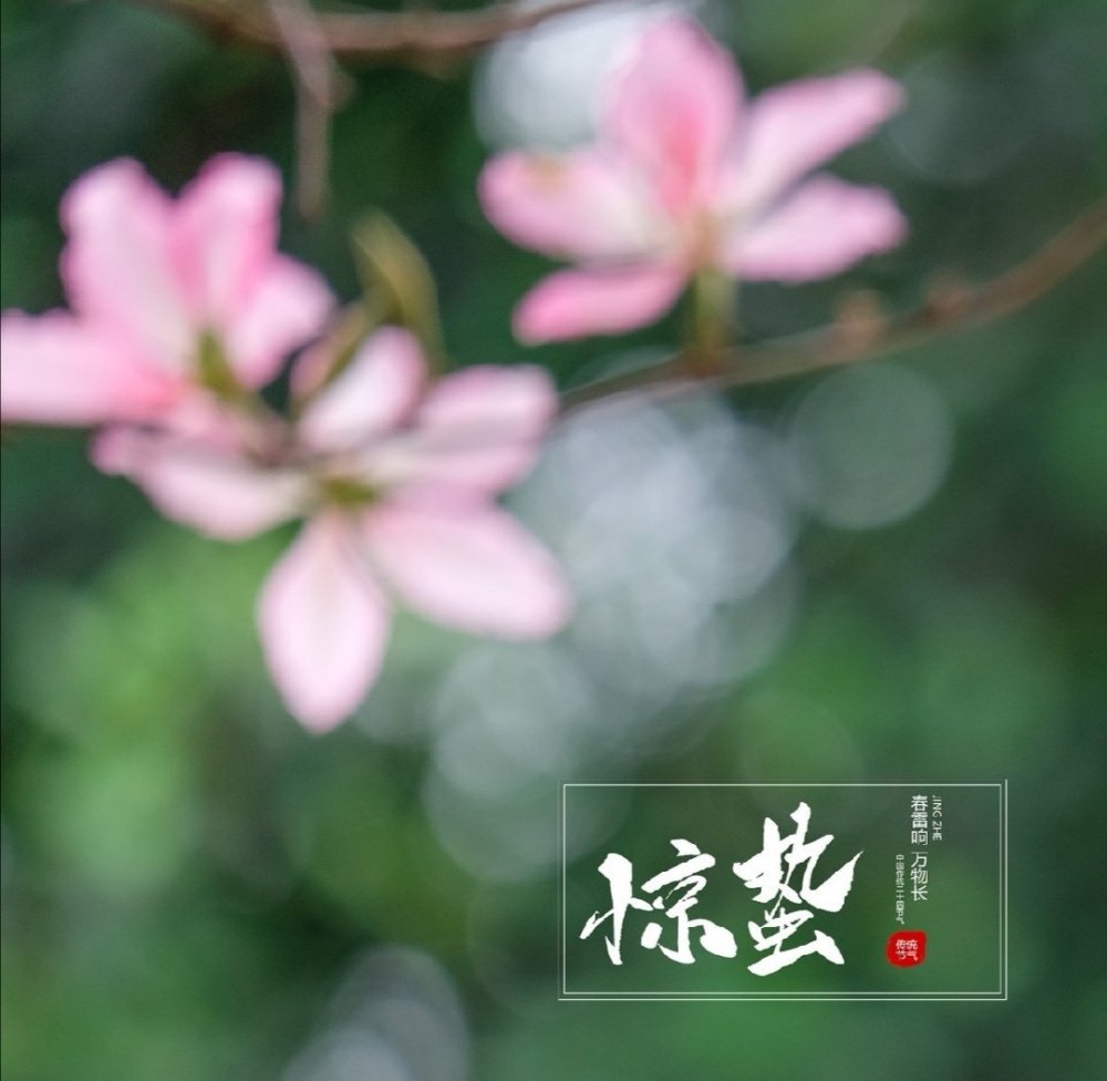 微习惯 每天改变一点点 每天坚持一点点 腾讯新闻