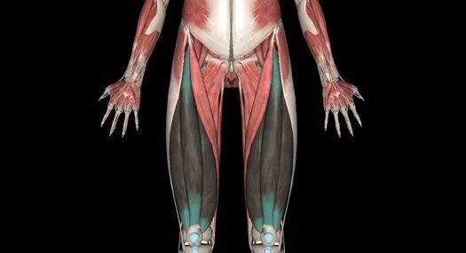 开合跳,除了能让你暴瘦还有这么多好处!