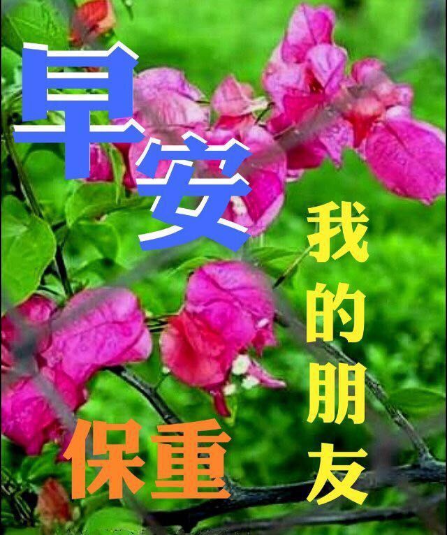 3月5日星期六朋友圈早上好祝福動態表情圖片春天風景圖清晨早上好暖心